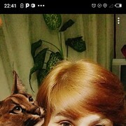 ���������� ������, ���� ������� �����, 54 ����, ������������ ��� ������, ����� � ���������