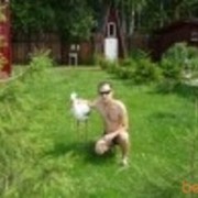 ���������� ������ ��������, ���� ������� �������, 41 ���, ������������ ��� ������