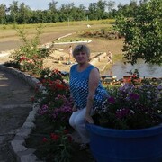  ,   , 66 ,     