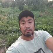  ,   , 43 ,   ,   