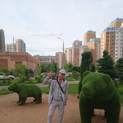  ,   , 46 ,   c 