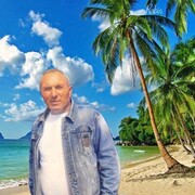  ,   , 51 ,   ,   
