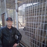  ,    , 41 ,   c 