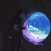 ���������� ������, ���� ����� �������, 25 ���, ������������ ��� ������, ����� � ���������