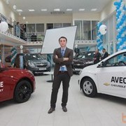  ,   Orxan_gm, 37 ,  