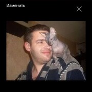 ���������� �����������, ���� ������� �������, 36 ���, ������������ ��� ������, ����� � ���������