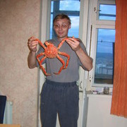  ,   , 53 ,   ,   , c 