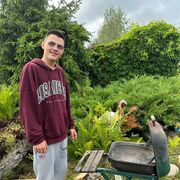 ���������� �����-���������, ������