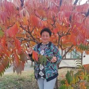 ,   , 64 ,   ,   