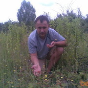 ���������� ����, ���� ������� ������, 49 ���, ������������ 