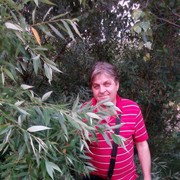 ���������� ������, ���� ������� ����, 66 ���, ������������ ��� ������, ����� � ���������, c�������� ���������