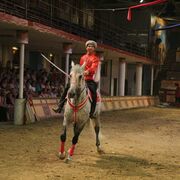 ���������� ������, ���� ������� ����, 31 ���, ������������ ��� ������, ����� � ���������, c�������� ���������