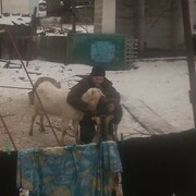  ,   , 36 ,     , c 