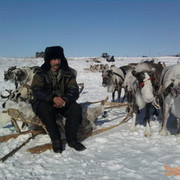 ���������� �������, ���� ������� ���25, 56 ���, ������������ ��� ����� � ���������, c�������� ���������