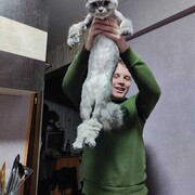  ,  , 27