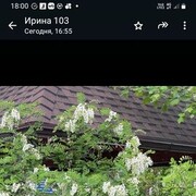  ,   , 66 ,     , c 