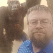  -,   , 51 ,   ,   , c 