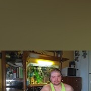  ,   ˸, 41 ,   ,   , c 