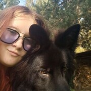 ���������� �����-���������, ���� ������� ����, 19 ���, ������������ ��� ���������