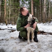 ���������� �����-���������, ���� ������� �����, 33 ����, ������������ ��� ������, ����� � ���������, c�������� ���������