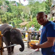  Lippstadt,   Leo, 55 ,   ,   