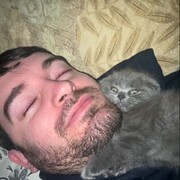 ���������� �������, ���� ������� OpAsNiY, 29 ���, ������������ ��� ������, ����� � ���������