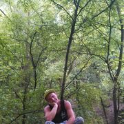  ,   , 38 ,   ,   , c , 