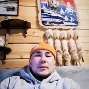  ,   VitaLi, 33 ,   ,   , c , 