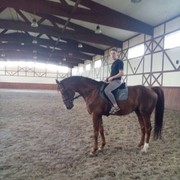 ���������� ����-�������, ���� ������� ��������, 36 ���, ������������ ��� ������, ����� � ���������, c�������� ���������