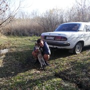  -,   , 38 ,   ,   , c 