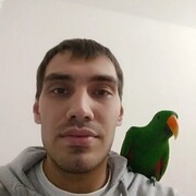 ���������� ������������, ���� ������� ����, 35 ���, ������������ ��� ������, ����� � ���������, c�������� ���������, ���������