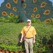  ,   , 50 ,   ,   