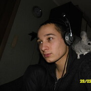 ���������� ������ ����� ������, ������� ����, 38