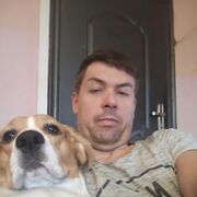 ���������� �����-���������, ���� ������� �������, 42 ����, ������������ ��� ����� � ���������, c�������� ���������