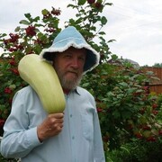  ,   , 77 ,  