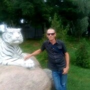 ���������� ����, ���� ������� �����, 44 ����, ������������ ��� c�������� ���������