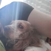  ,   Jekson, 33 ,  