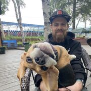 ���������� ����-���������, ���� ������� �������, 28 ���, ������������ ��� ���������