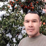  ,   Aslan, 37 ,   ,   , c 