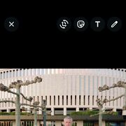 ���������� �����, ���� ������� ���������, 38 ���, ������������ ��� ����� � ���������, c�������� ���������