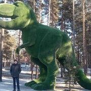 ���������� �������, ������� ������, 37