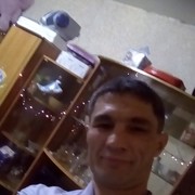  -,   , 52 ,   ,   , c 