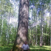 ���������� �����, ���� ������� �������, 67 ���, ������������ ��� ������