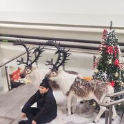 ���������� �������, ���� ������� �����, 37 ���, ������������ ��� ������, ����� � ���������