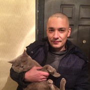 ���������� ������, ���� ������� ������, 48 ���, ������������ ��� ������, ����� � ���������, c�������� ���������