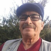  ,   Sasha, 78 ,   ,   , c 