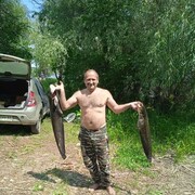  ,   , 53 ,   c 