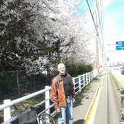 ���������� �����������, ���� ������� �������, 50 ���, ������������ ��� ������, ����� � ���������, c�������� ���������