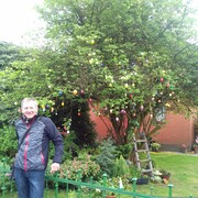 ���������� �������, ���� ������� ���������, 65 ���, ������������ ��� ����� � ���������, c�������� ���������