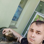 ���������� ����, ���� ������� �����, 33 ����, ������������ ��� ������, ����� � ���������, c�������� ���������